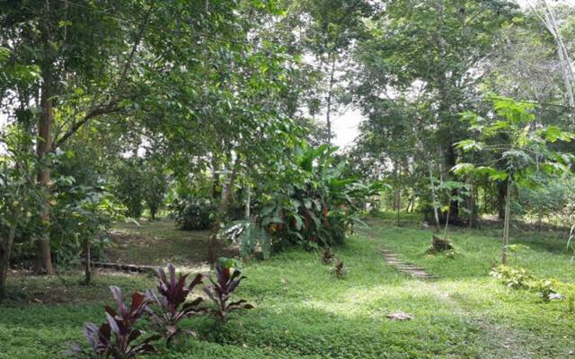 Caoba Lodge Tambopata