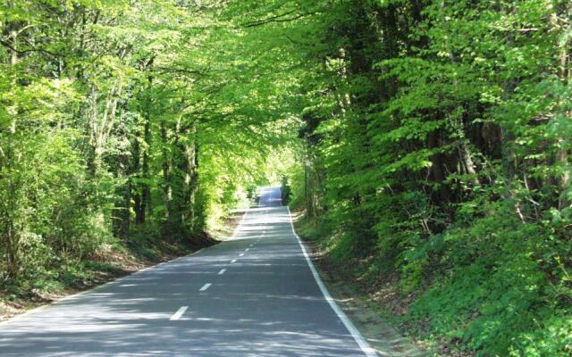 Berggasthof Wilhelmshöhe