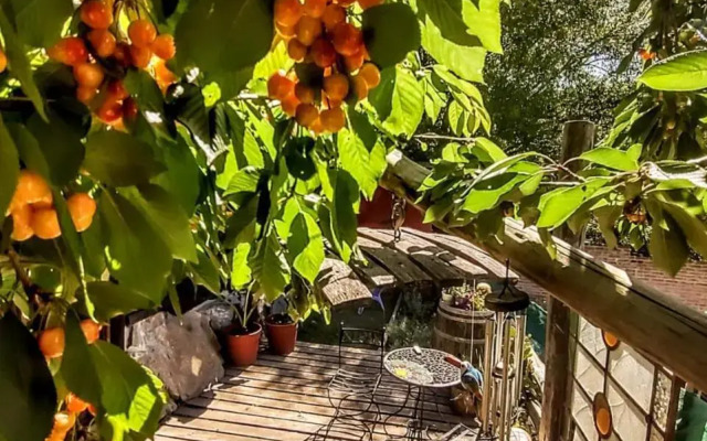 Malo Watson Hostel
