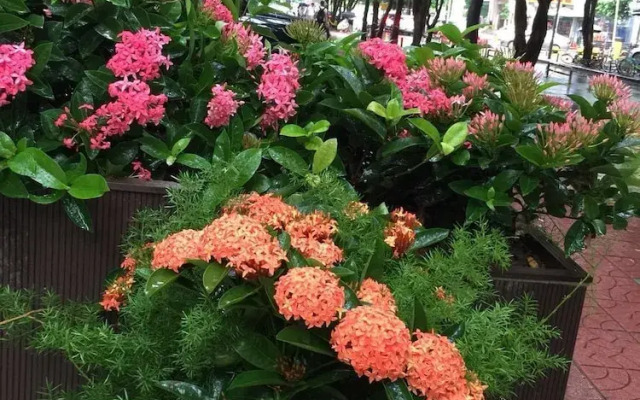 Youranju Hotel (Exhibition Center)