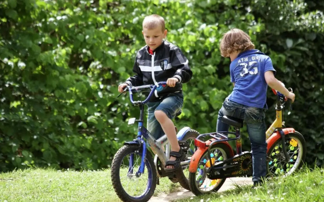 Child-friendly farmhouse villa with PlayStation in Limburg