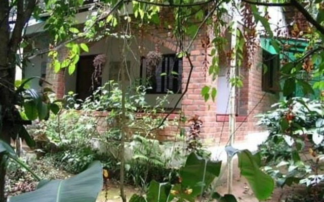 Rainforest Retreat