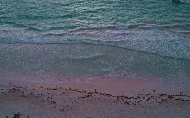 Playa las palmas