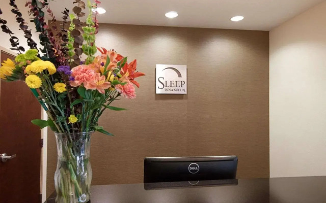 Sleep Inn & Suites Carlsbad Caverns Area
