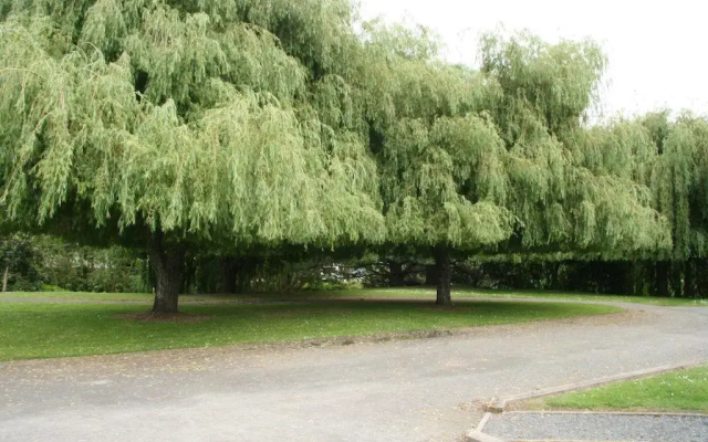 Whangarei Central Holiday Park