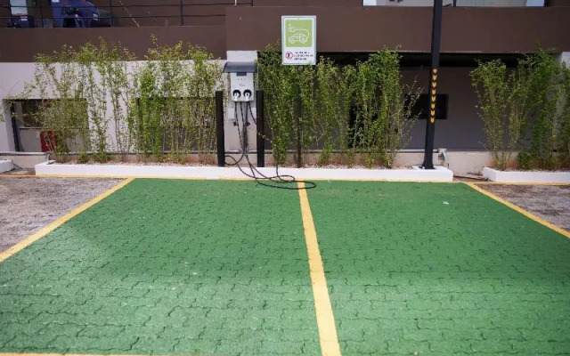 Ibis Tangara Da Serra