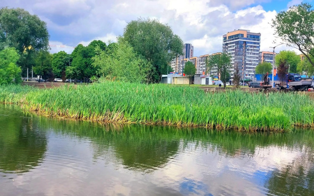 Новобудова Леви Міста Стрийська Наукова Володимира Великого Сихів