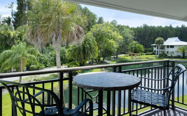 Saddlebrook Golf Resort & Spa Tampa North - Wesley Chapel