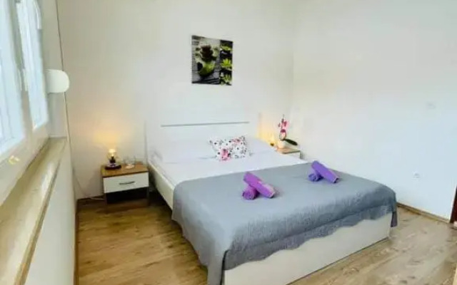 Apartman & Rooms Draga