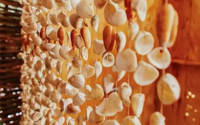 The Seed Habitat