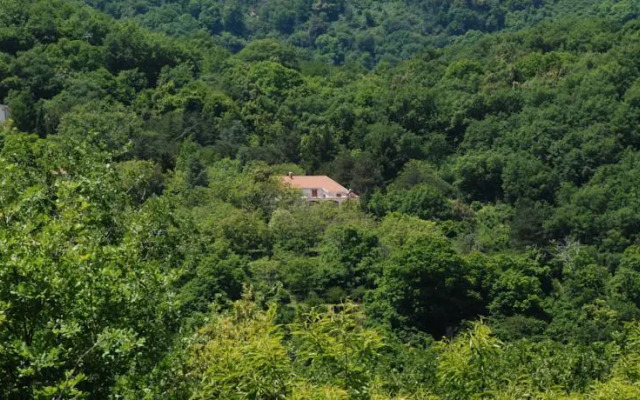 Acquachiara Agriturismo e B&B