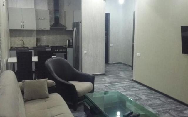 Apartments on Inasaridze 14