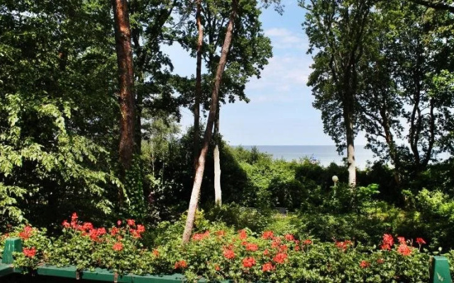 Strandvilla Hubertus Boltenhagen - Ferienwohnungen Apartment Mit Parkplatz Wlan Kuche Garten Grillplatz Waldbaden