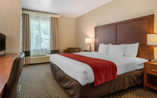 Comfort Inn & Suites Galt - Lodi North