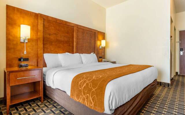 Comfort Inn Summerville - Charleston