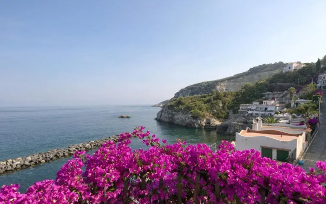 Villa Bouganville in Massa Lubrense