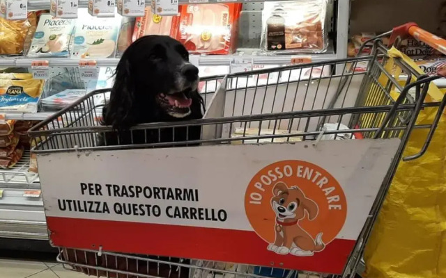 Beautiful 2-bed House in Longoio, Bagni Di Lucca