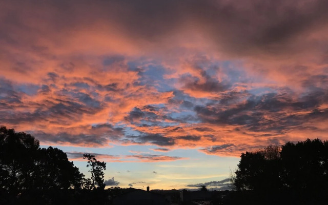 Auckland Onestop
