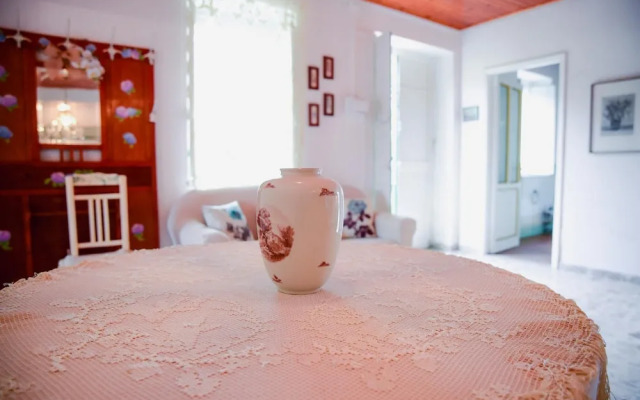 Easy Welcome Salvia - Cartolari County Apartments