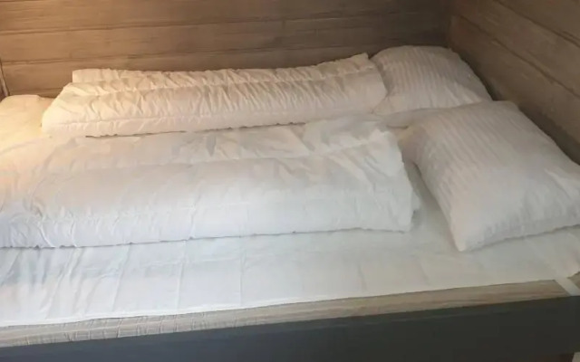 Oppdal Alpintun Stølen ski in - ski out