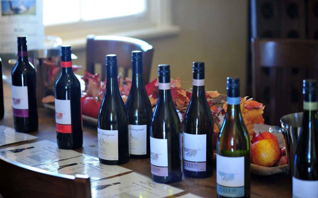Mayfield Vineyard