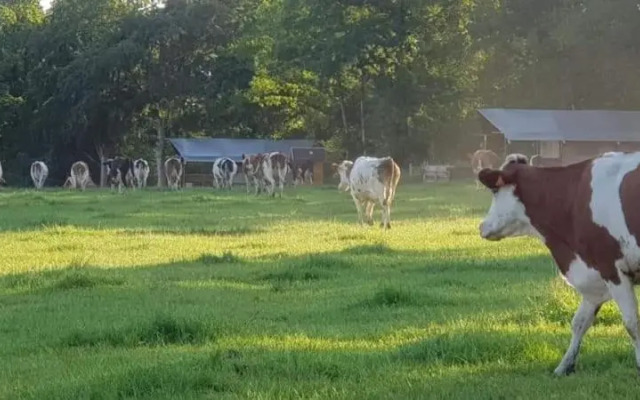 Glamping des 2 Marguerites