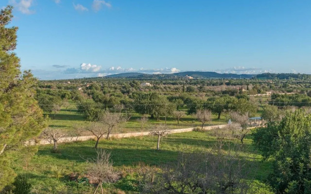 SON Alegre DE Bunyola