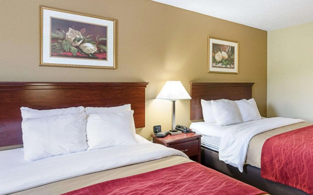 Comfort Inn New River
