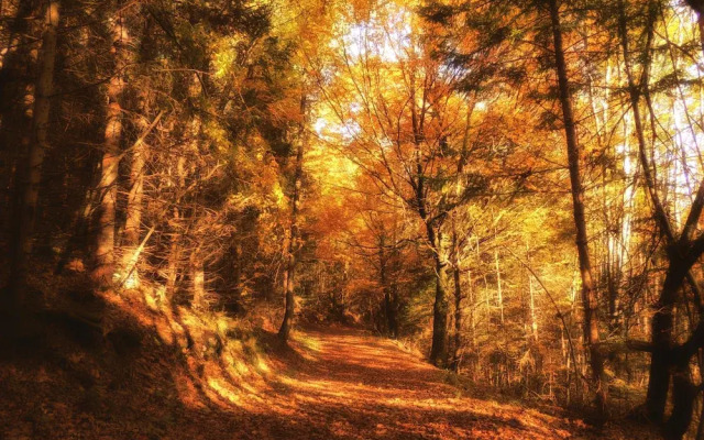 Hotel Berghof Brunner