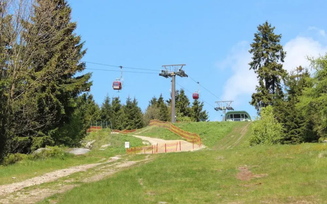 Waldpension Pfeiferhaus