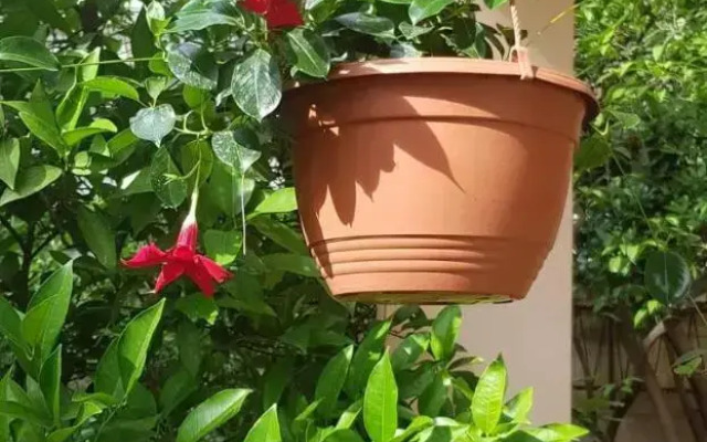 Apartman Nikolić 2