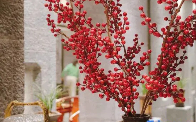 Dali Changhe Qinglu Homestay