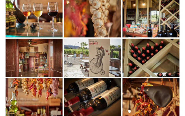 Sa Vinya des Convent Agroturismo