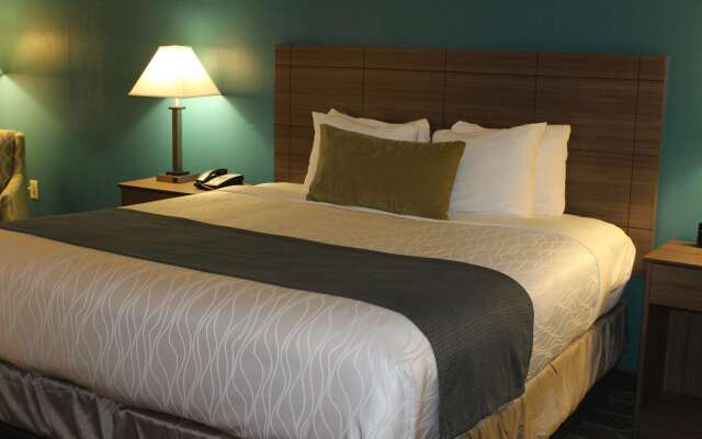 Best Western Plus Yadkin Valley Inn & Suites