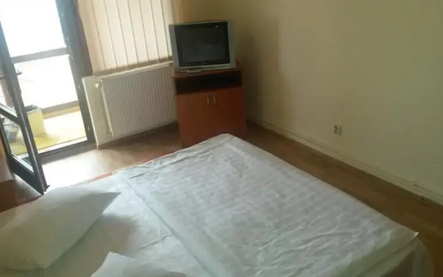 Pensiunea Adi Sapinta