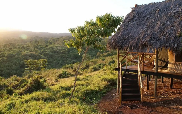 Crater Forest Tented Camp