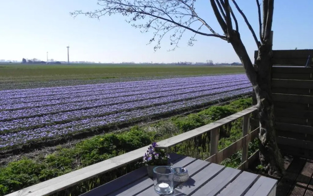 Appels en Peren Bed and Breakfast