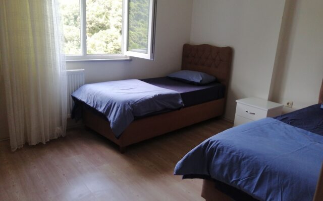 Kasustu Home