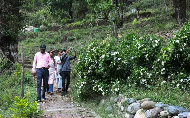 Sukoon - A Wellness Resort