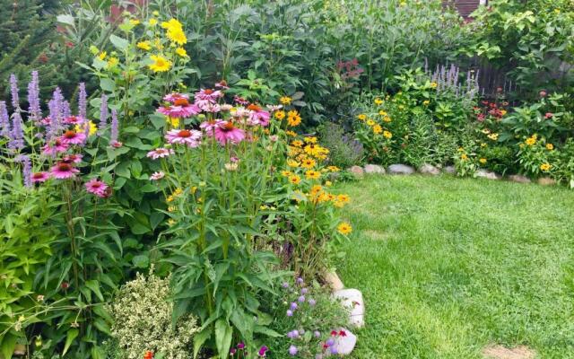 Charles and Charles MV