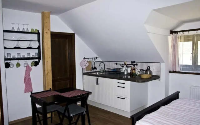 Penzion Alber 58