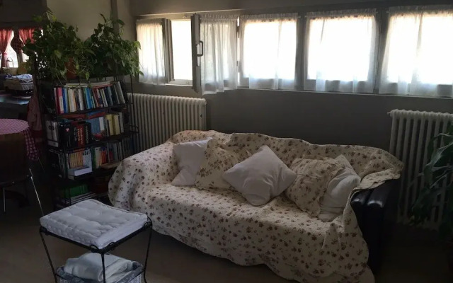 Rinidia Siena Celso Cittadini