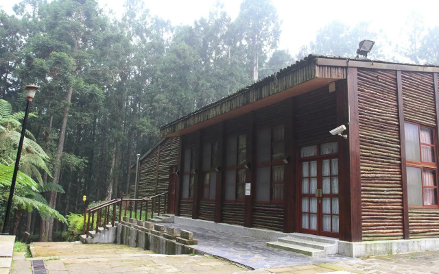 Xitou Youth Activity Center Hostel