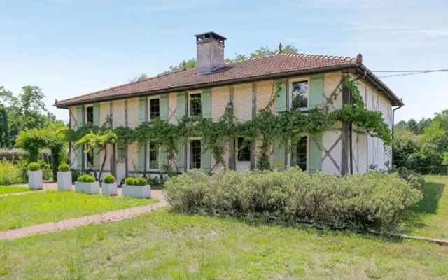 La résinière de pirique