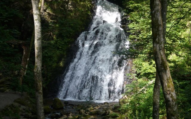 Ferienhaus Fichtenhof am Wasserfall