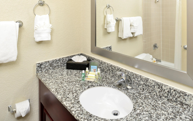 Holiday Inn St Petersburg N - Clearwater by IHG