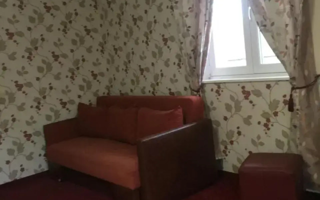 Pension La Viorel