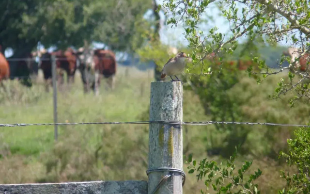 Estancia Hosteria El Ceibo