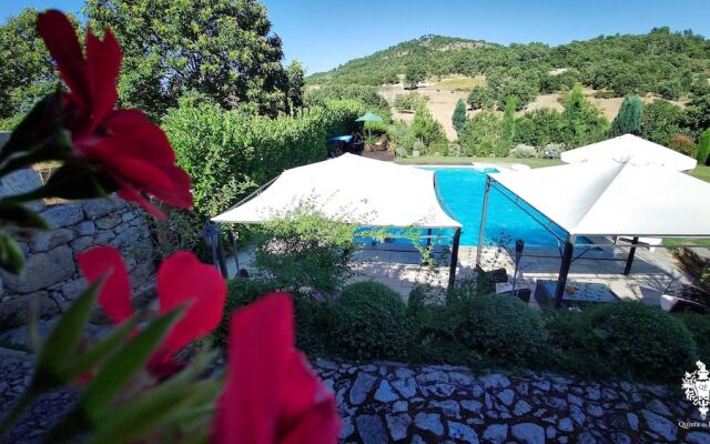 House With 9 Bedrooms in Penedono, With Private Pool, Enclosed Garden