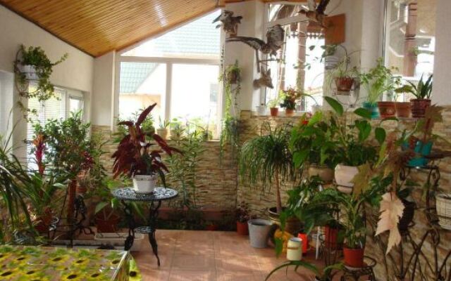 Vyshenka Guest House